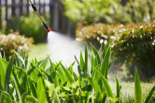 Tamper-Resistant Bait Stations for Rodents in Fort Valley