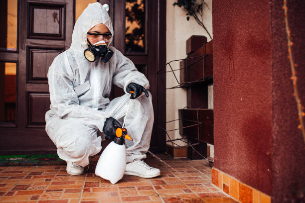 Attic and Crawl Space Rodent Treatment in Fort Valley