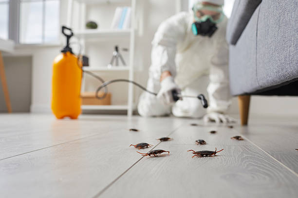 Commercial Rodent Management in Fort Valley